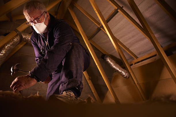  Massanutten, VA Insulation Contractor Pros
