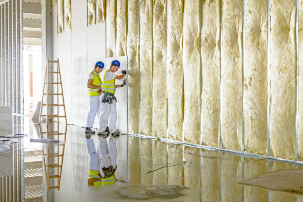Best Residential Insulation in Massanutten, VA